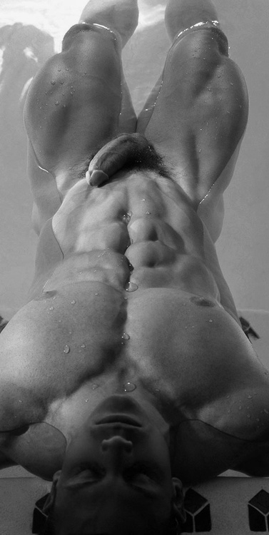 photo sex gay porno nu 1646